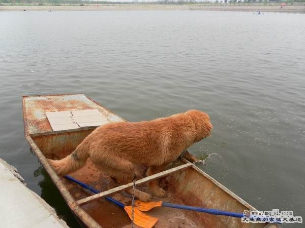 2011062104.JPG
