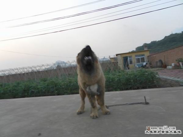 2011062309.JPG
