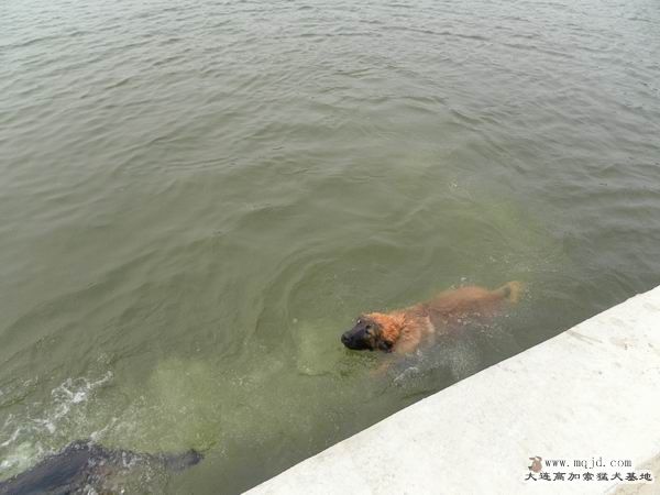 2011062112.JPG