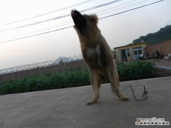 2011062310.JPG