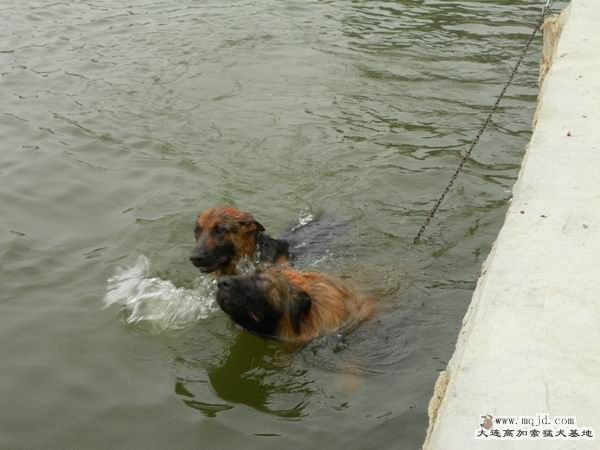 2011062114.JPG