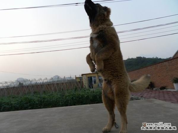 2011062308.JPG