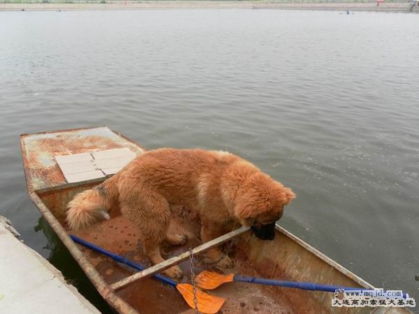 2011062105.JPG
