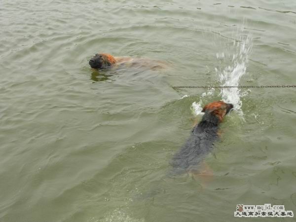 2011062116.JPG