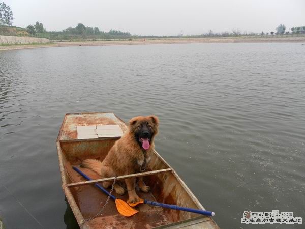 2011062111.JPG