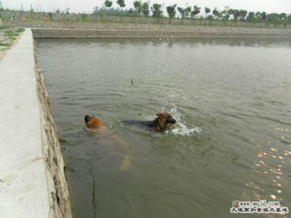 2011062113.JPG
