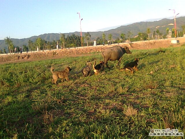 Ƭ0324.jpg