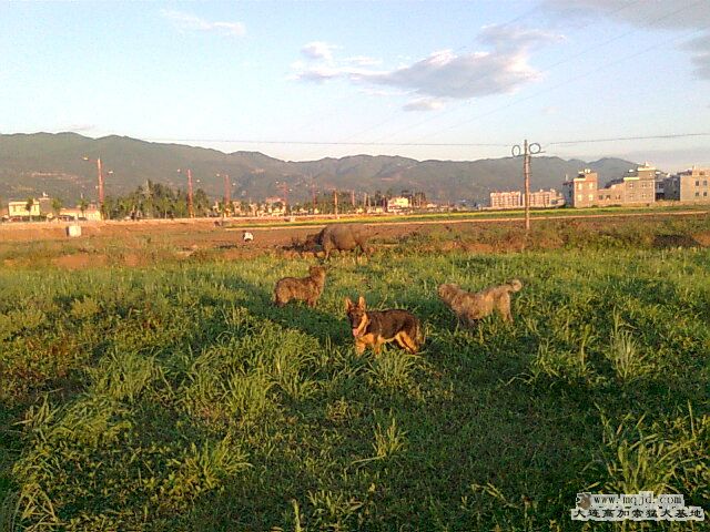 Ƭ0352.jpg