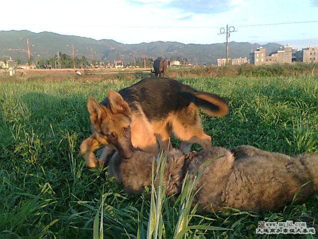 Ƭ0358.jpg