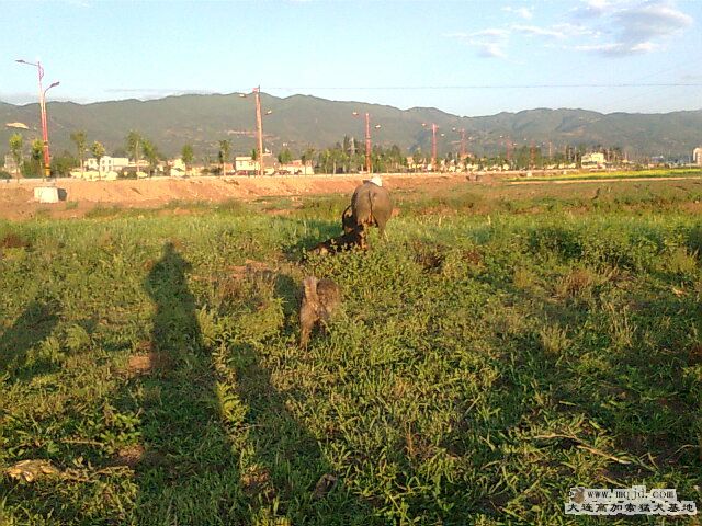 Ƭ0325.jpg