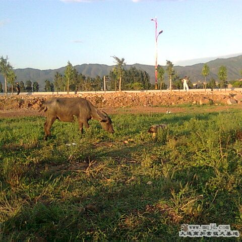 Ƭ0330_001.jpg