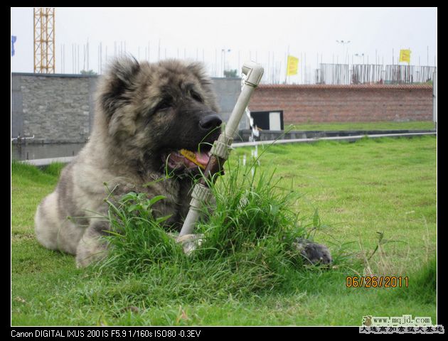 ϲgԣ˺Ȏ׿ھ˯..