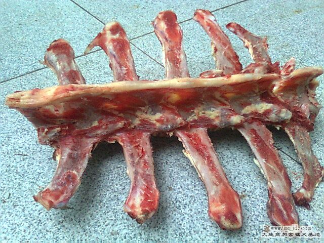 Ƭ0389.jpg