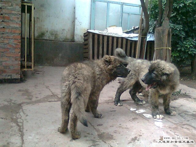 Ƭ0315.jpg