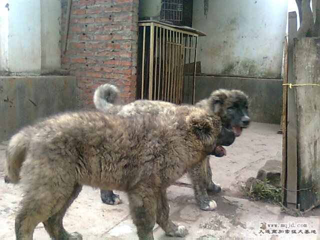 Ƭ0318.jpg