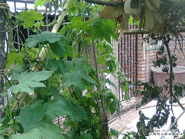 Ƭ0421.jpg