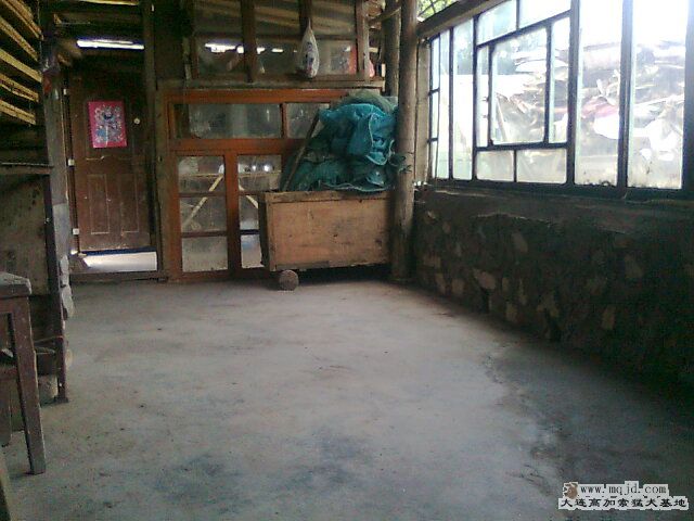 Ƭ0456.jpg