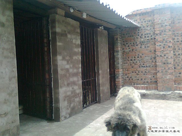 Ƭ0393.jpg
