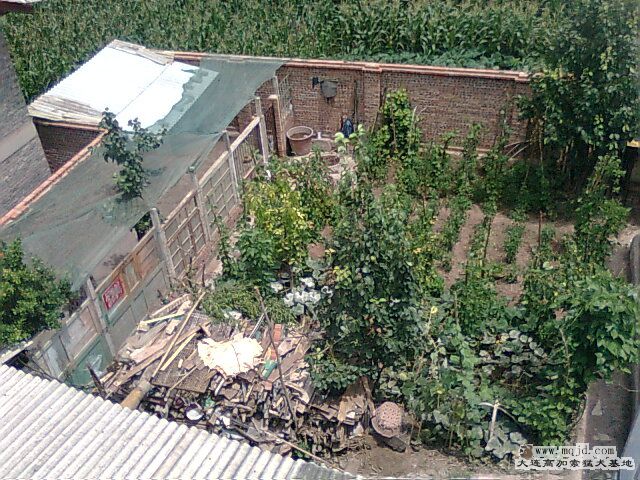 Ƭ0461.jpg