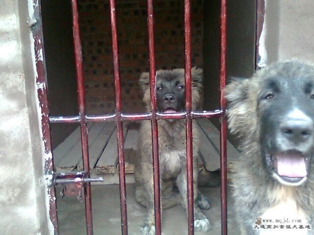 Ƭ0398.jpg