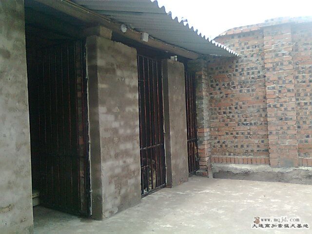 Ƭ0394.jpg