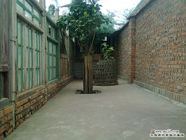 Ƭ0427.jpg