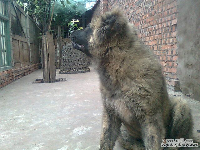 Ƭ0408.jpg