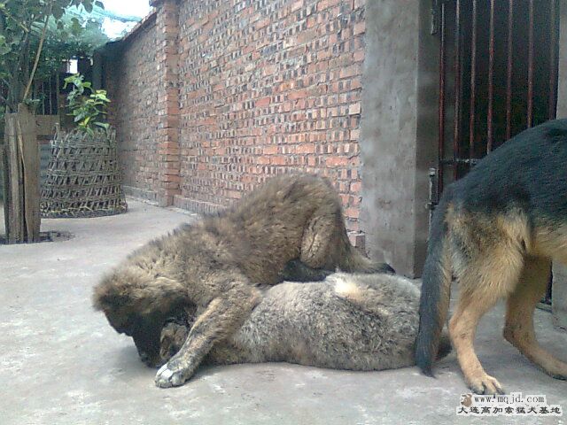 Ƭ0431.jpg