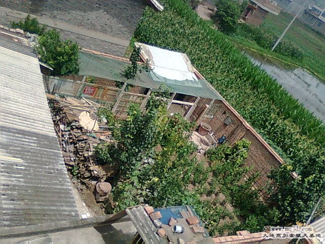 Ƭ0463.jpg