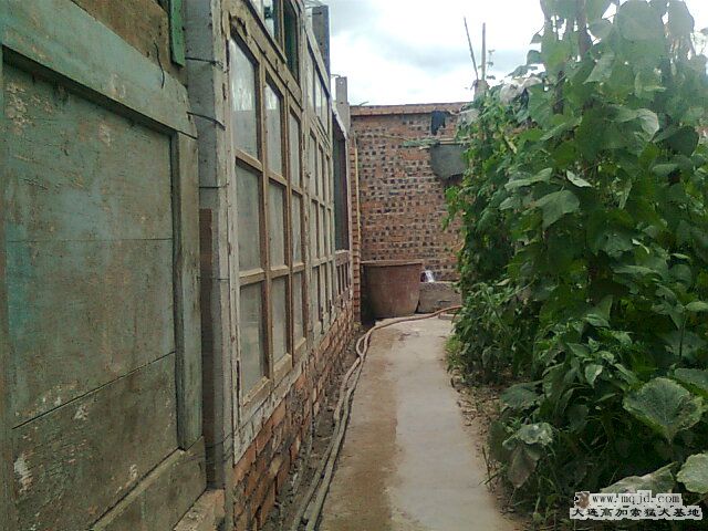 Ƭ0426.jpg