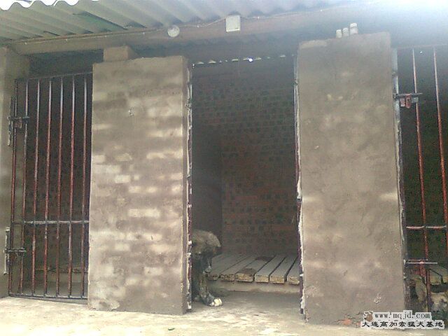 Ƭ0415.jpg
