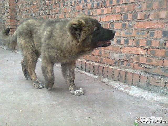 Ƭ0405.jpg