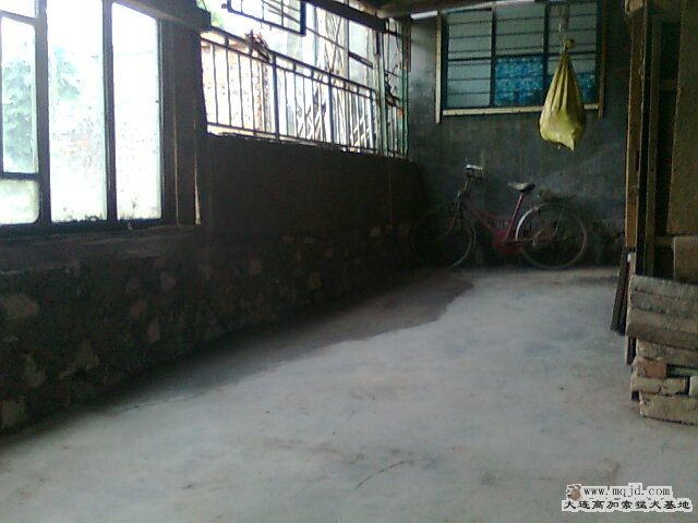 Ƭ0454.jpg