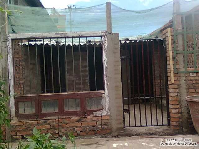 Ƭ0417.jpg