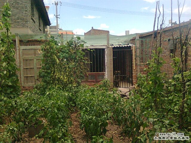Ƭ0424.jpg