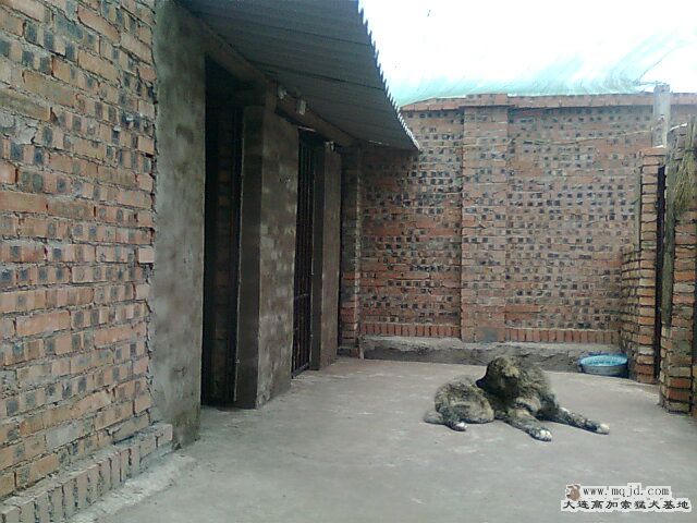 Ƭ0392.jpg
