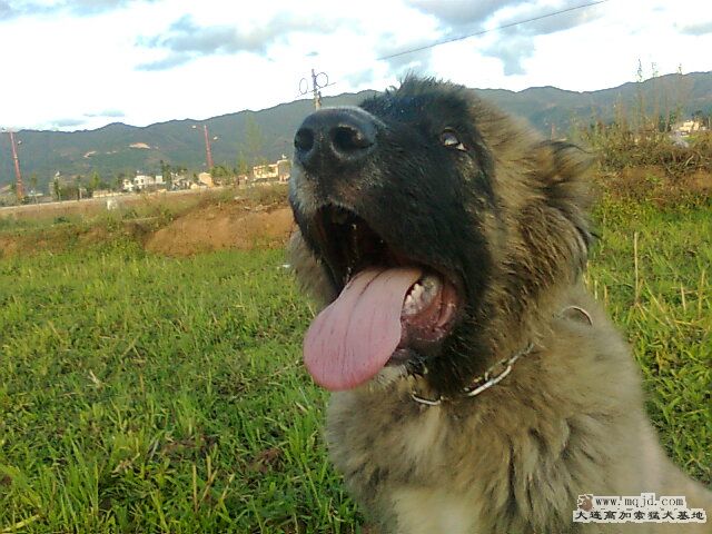Ƭ0480.jpg