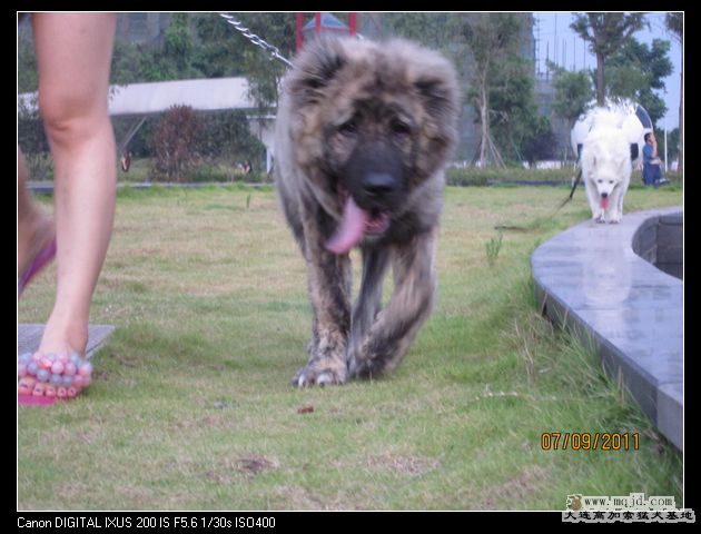 nEO_IMG_Ƭ 024.jpg