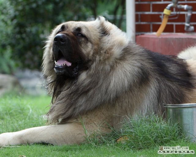 20110710_944d_31m_011b_D1.JPG