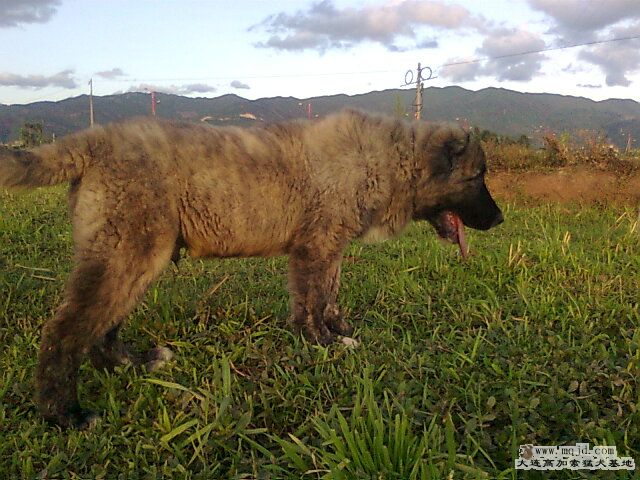 Ƭ0479.jpg
