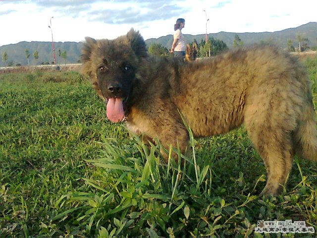 Ƭ0467.jpg