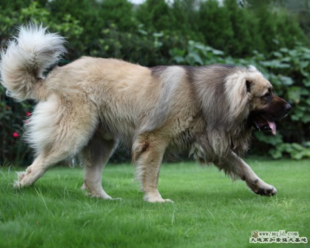 20110710_944d_31m004_D1.JPG