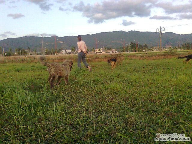 Ƭ0490.jpg