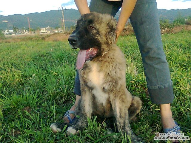 Ƭ0474.jpg