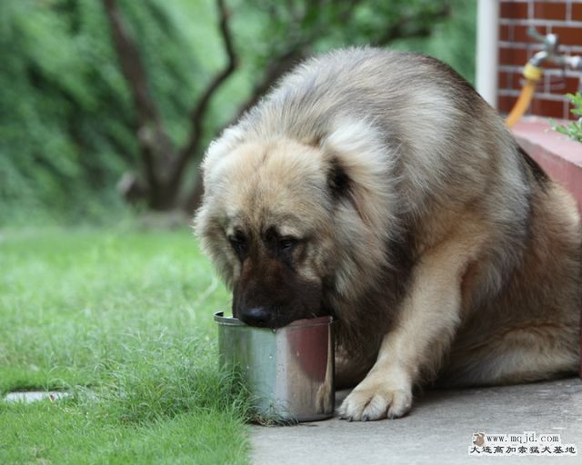 20110710_944d_31m006_D1.JPG