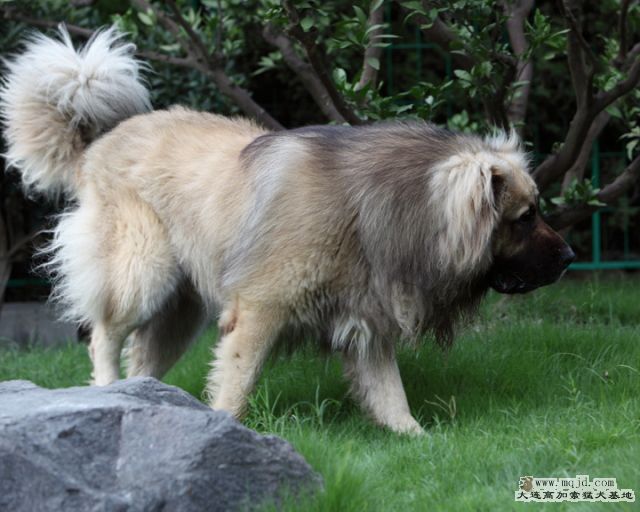 20110710_944d_31m001_D1.JPG