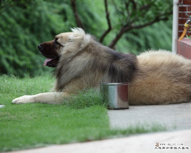 20110710_944d_31m_007_D1.JPG