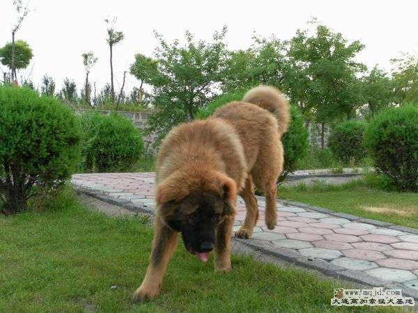 2011071304.jpg