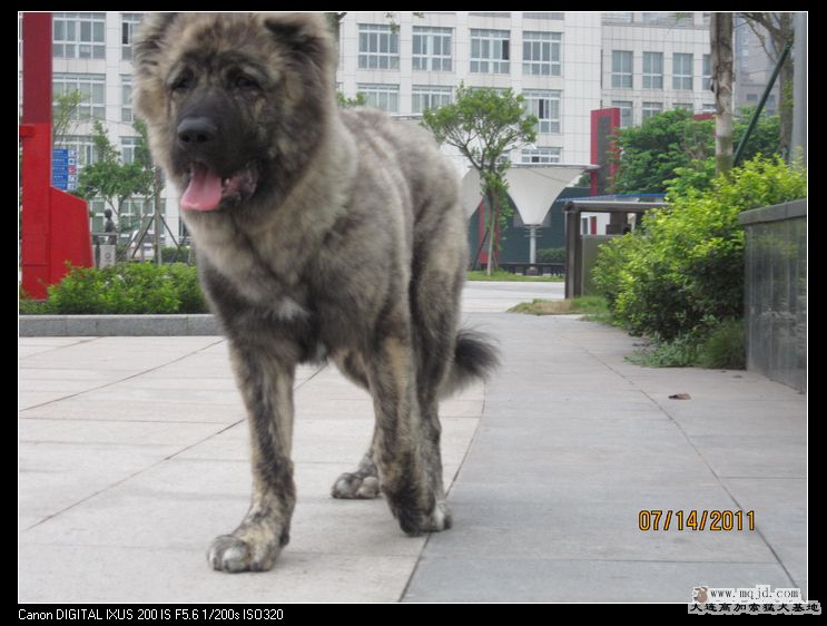 nEO_IMG_Ƭ 015.jpg