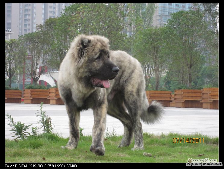 nEO_IMG_Ƭ 026.jpg